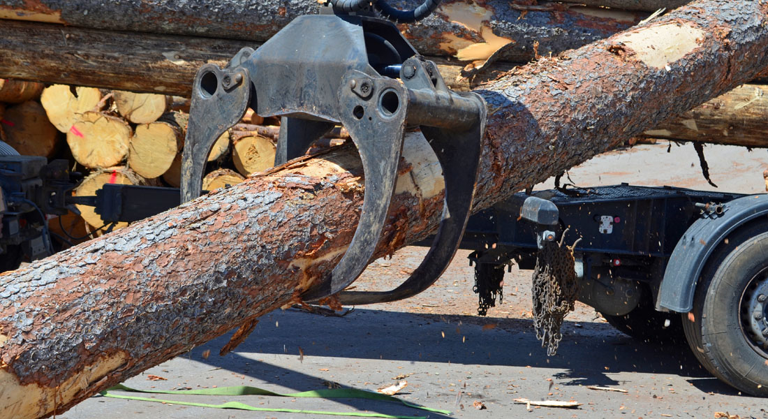 Holzfrächter Bogensperger Lungau